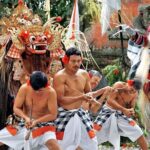 Explore Ubud: Private Day Trips & Cultural Experiences - The Sum Up