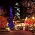 Explore Vancouver City & Capilano Suspension Bridge Canyon Lights - Itinerary Breakdown