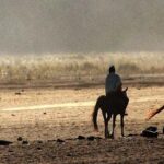 Explore volcano Bromo - start Surabaya // 2 days 1 night - Transportation, Accommodation, and Logistics