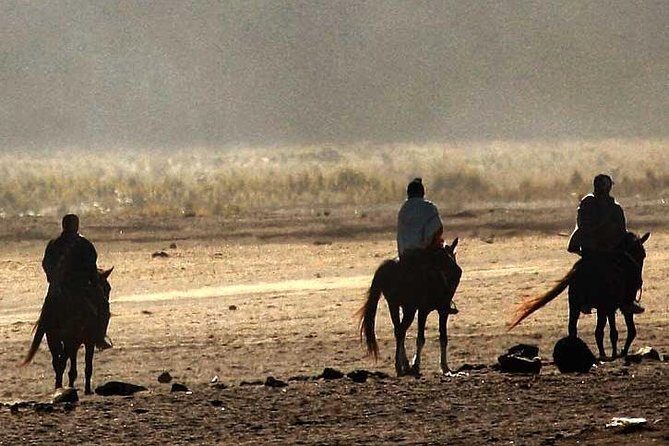 Explore volcano Bromo - start Surabaya // 2 days 1 night - Transportation, Accommodation, and Logistics