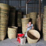 Explore Wetlands and Nature Reserve from Can Tho - Who Will Love This Tour?