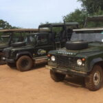 Explore Wild Wonders of Yala - A Deep Dive into the Wild Wonders of Yala Tour