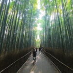 Exploring Arashiyama in a small group? E-bike tour is perfect! - Key Points