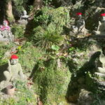 Exploring Hakata: Temples Shrines and Scenic Treasures - Who Is This Tour Best For?