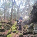 Exploring Mt Fuji Ice Cave and Sea of Trees Forest - FAQ