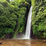 Exploring Munduk Village (Waterfalls, rice terrace, Traditional local house) - A Closer Look at the Munduk Village Tour