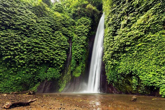Exploring Munduk Village (Waterfalls, rice terrace, Traditional local house) - A Closer Look at the Munduk Village Tour