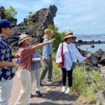 Exploring Sakurajima's History Half Day Walking Tour in Kagoshima - Who Should Take This Tour?