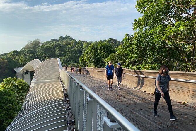 Exploring Singapores Forgotten Hills - Authentic Insights from Travelers