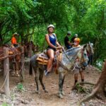 Express zips + Longest suspension bridge, ideal cruisers - Final Thoughts