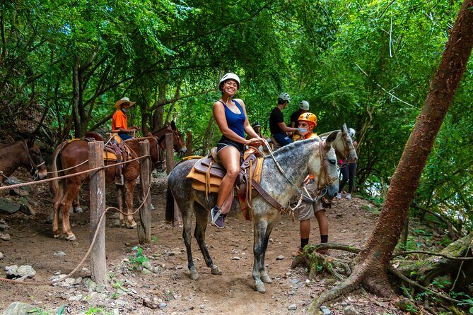 Express zips + Longest suspension bridge, ideal cruisers - Final Thoughts