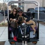 Extended Monuments & Memorials Tour - Authentic Experiences and What Travelers Say