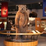 Fairbanks City Tour - Who Should Consider This Tour?