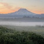 Faithful Hands Farm Tour - A Deep Dive into the Faithful Hands Farm Tour