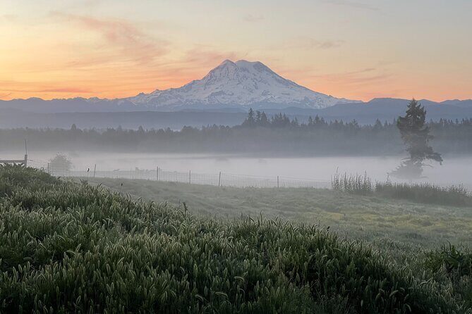 Faithful Hands Farm Tour - A Deep Dive into the Faithful Hands Farm Tour
