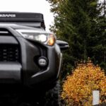 Fall Adventure Vancouver Island Grizzly Bears, High Tea and More - Who Will Love This Tour?