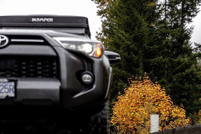 Fall Adventure Vancouver Island Grizzly Bears, High Tea and More - Who Will Love This Tour?