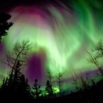 Fall Color Tour in Yukon from Whitehorse - Final Thoughts on the Yukon Fall Color Tour