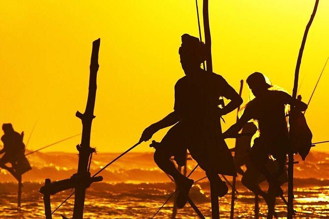 Family-Friendly Private Galle City Tour - An In-Depth Look at the Galle City Tour