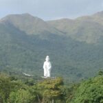 Family-Friendly Tolo Harbour Cycling Adventure - The Value Proposition: Is It Worth It?