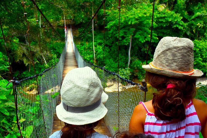 FAMILY JUNGLE TOUR: Orangutan Trek (4-hours hike) by EcoTravel Bukit Lawang - Who Should Consider This Tour?
