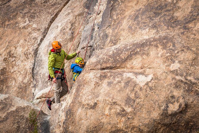 Family Rock Climbing Trips in Joshua Tree National Park (4 Hours) - An In-Depth Look at the Experience