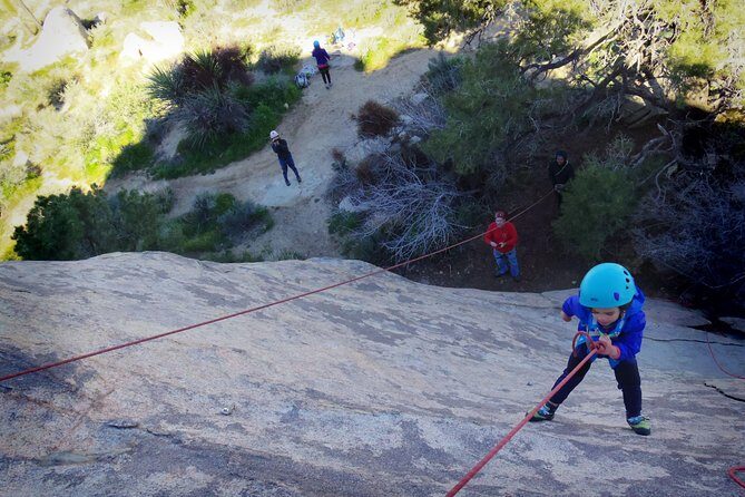 Family Rock Climbing Trips in Joshua Tree National Park (6 Hours) - Who this tour suits best