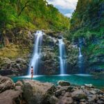 Famous Road to Hana Waterfalls and Lunch by Mercedes Van - Who Should Consider This Tour?