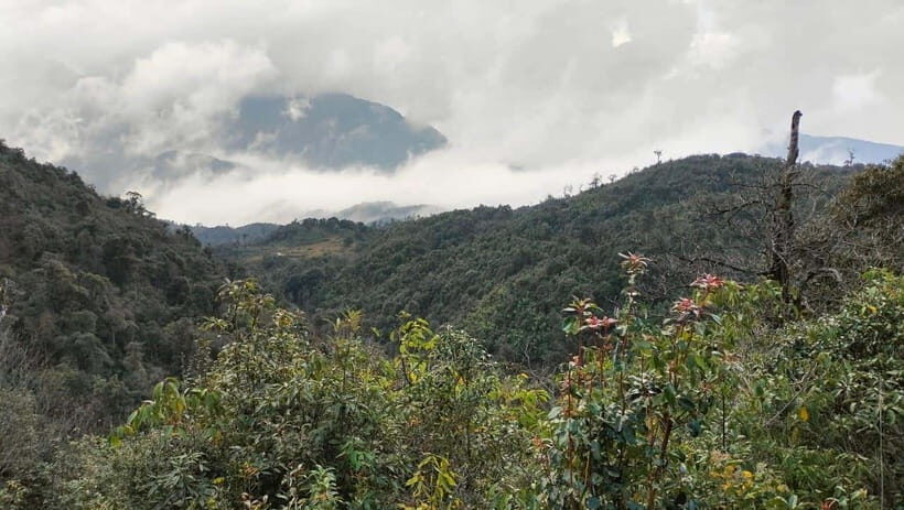 Fansipan Mountain 1-Day Trekking Tour - An In-Depth Look at the Fansipan Trek