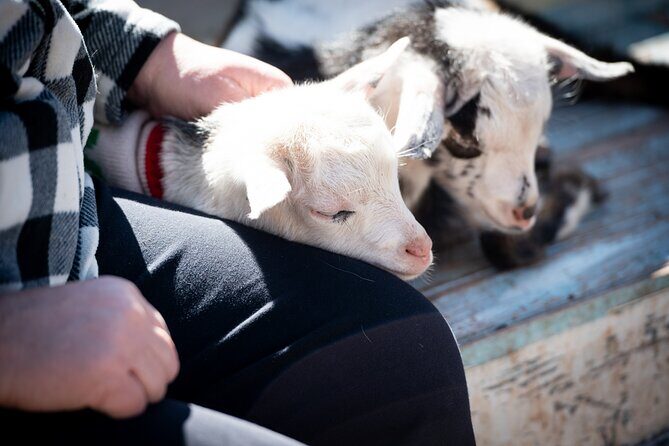 Farm Day Pass General Admission - Practical Details and Tips