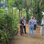 Farm to Table Cooking Class & Authentic Village Experience - Practical Details: What You Need to Know