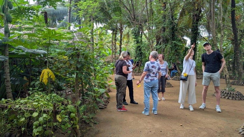 Farm to Table Cooking Class & Authentic Village Experience - Practical Details: What You Need to Know