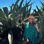 Farm to Table Cooking Experience in San Miguel - FAQ