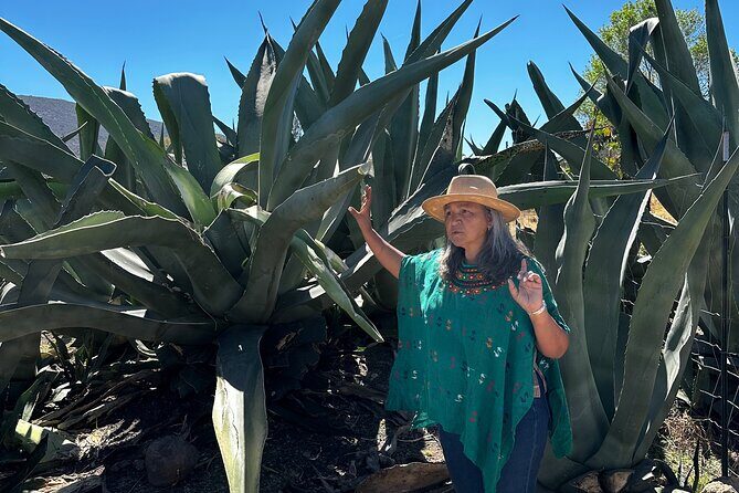 Farm to Table Cooking Experience in San Miguel - FAQ