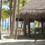 Fascinating beach club at Riviera Maya, full day pass with transport included - An In-Depth Look at the Riviera Maya Beach Club Tour