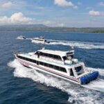 Fast Boat Transfer Sanur to Nusa Lembongan by Penidago - Who Will Love This Transfer?