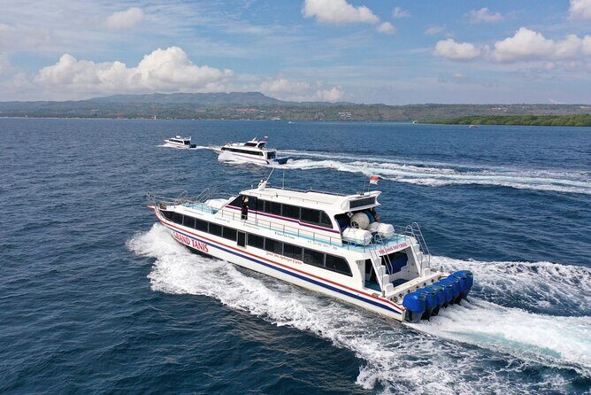 Fast Boat Transfer Sanur to Nusa Lembongan by Penidago - Who Will Love This Transfer?
