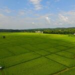 FIELDS OF GOLD Mountain Biking Tour Chiang Mai - The Sum Up