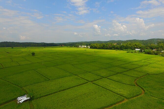 FIELDS OF GOLD Mountain Biking Tour Chiang Mai - The Sum Up