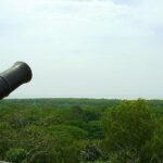 Fireflies and Kuala Selangor Tour Including Dinner - Final Thoughts: Is This Tour Right for You?