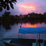 Fireflies Tour in Cherating - A Deep Dive into the Cherating Fireflies Experience