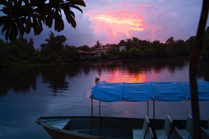 Fireflies Tour in Cherating - A Deep Dive into the Cherating Fireflies Experience