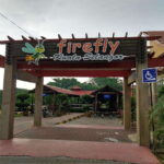 Firefly, Eagle Feeding, and Blue Tears Kuala Selangor Tour - The Value of This Tour