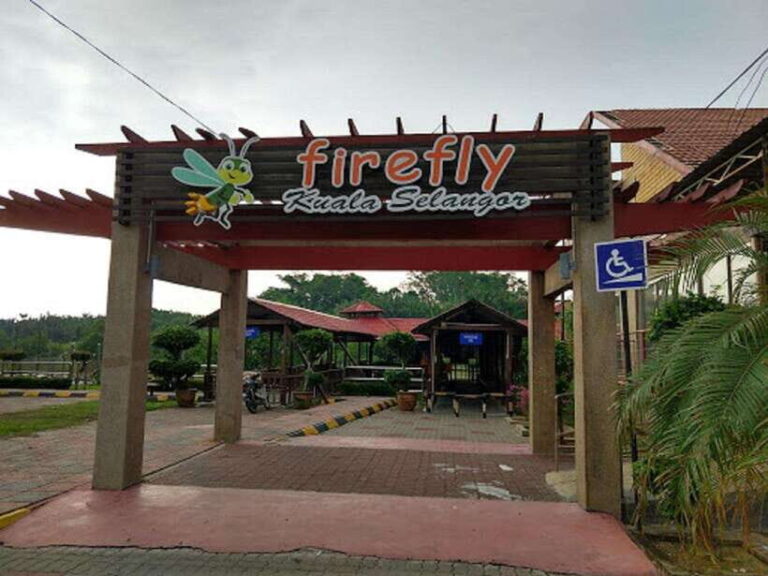 Firefly, Eagle Feeding, and Blue Tears Kuala Selangor Tour - The Value of This Tour