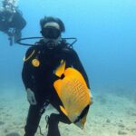 First Time Introductory Scuba Dive - A Closer Look at the Experience