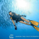 Fisheye Divers: Discover Scuba Diving - Exploring What to Expect from Fisheye Divers’ Discover Scuba Tour