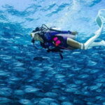 Fisheye Divers: PADI Open Water Course - Who Should Consider This Course?