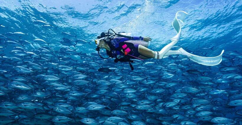 Fisheye Divers: PADI Open Water Course - Who Should Consider This Course?