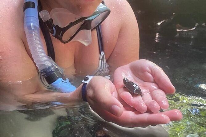 Five Cenotes Jungle Experience in the Riviera Maya - Final Thoughts: Who Should Consider This Tour?