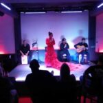 Flamenco Live Show and Dinner in Mexico City - A Detailed Look at the Flamenco Experience